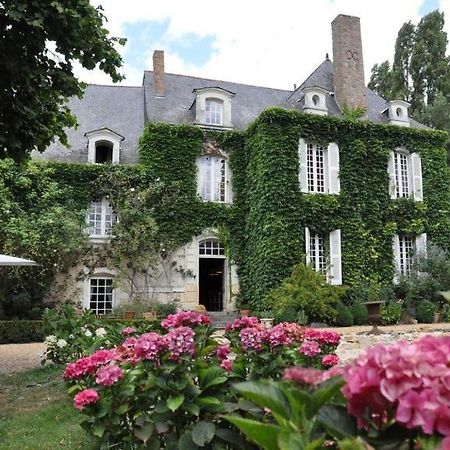Hotel La Marronniere Cheffes-sur-Sarthe Exterior foto
