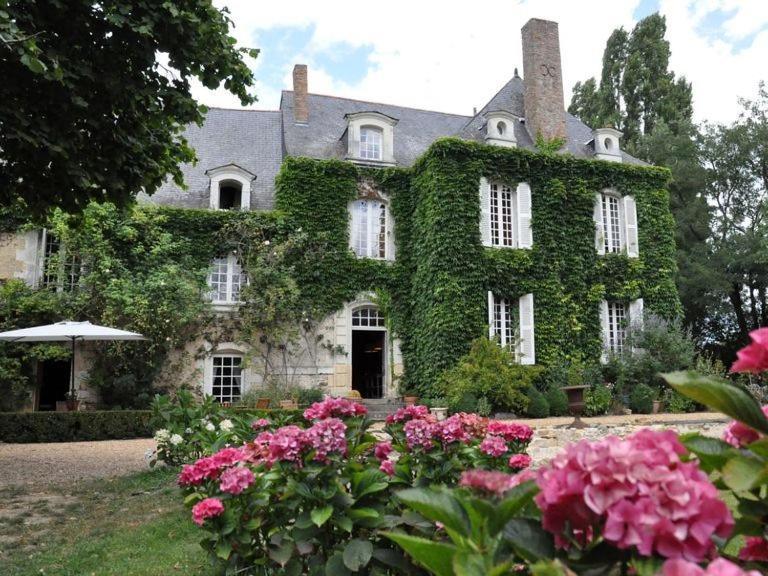 Hotel La Marronniere Cheffes-sur-Sarthe Exterior foto